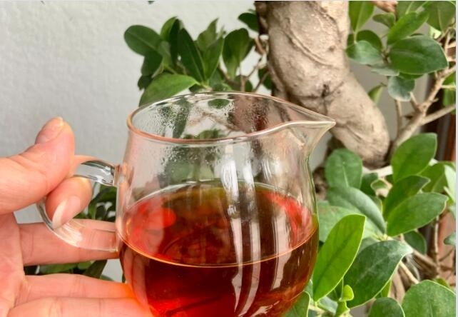टाइलिन को फुजियान कृषि विज्ञान अकादमी के चाय अनुसंधान संस्थान से टायगुआ के साथ क्रॉस ब्रीडिंग द्वारा विकसित किया गया था